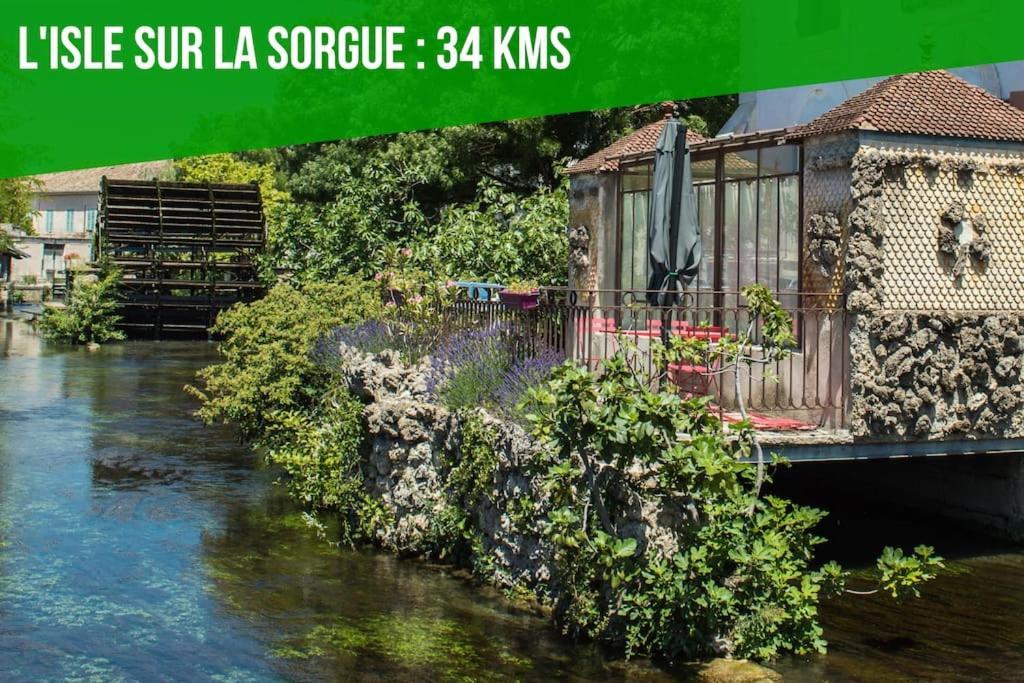 Le Saint-Laurent - Parking Gratuit - Terrasse - Wi-Fi Avignone Esterno foto