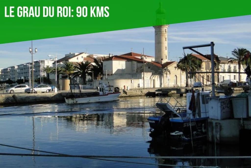Le Saint-Laurent - Parking Gratuit - Terrasse - Wi-Fi Avignone Esterno foto